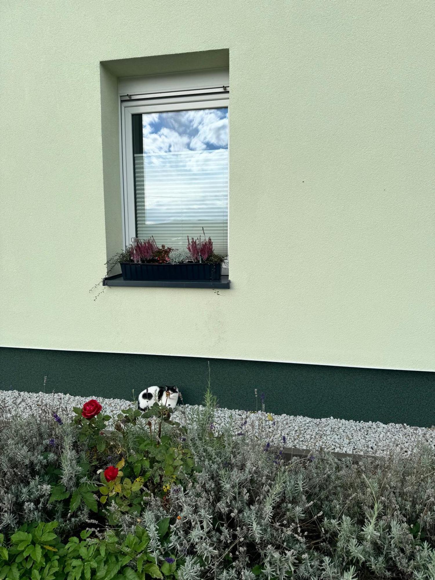 Viridi Apartment Radomierz Bagian luar foto